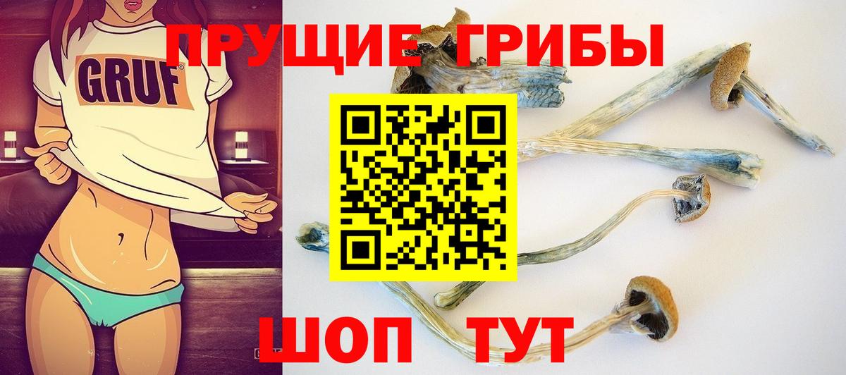 Псилоцибиновые грибы ЛСД Комсомольск-на-Амуре