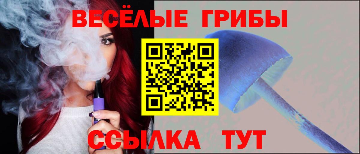 Галлюциногенные грибы Psilocybine cubensis  Вход с VPN  Комсомольск-на-Амуре 